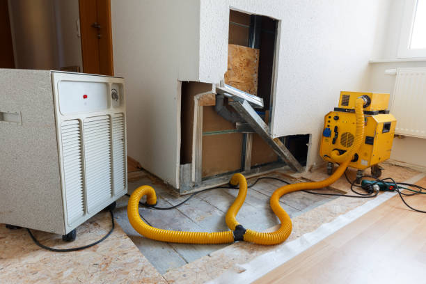 Best Environmental Consulting for Mold Prevention  in Penn Estates, PA
